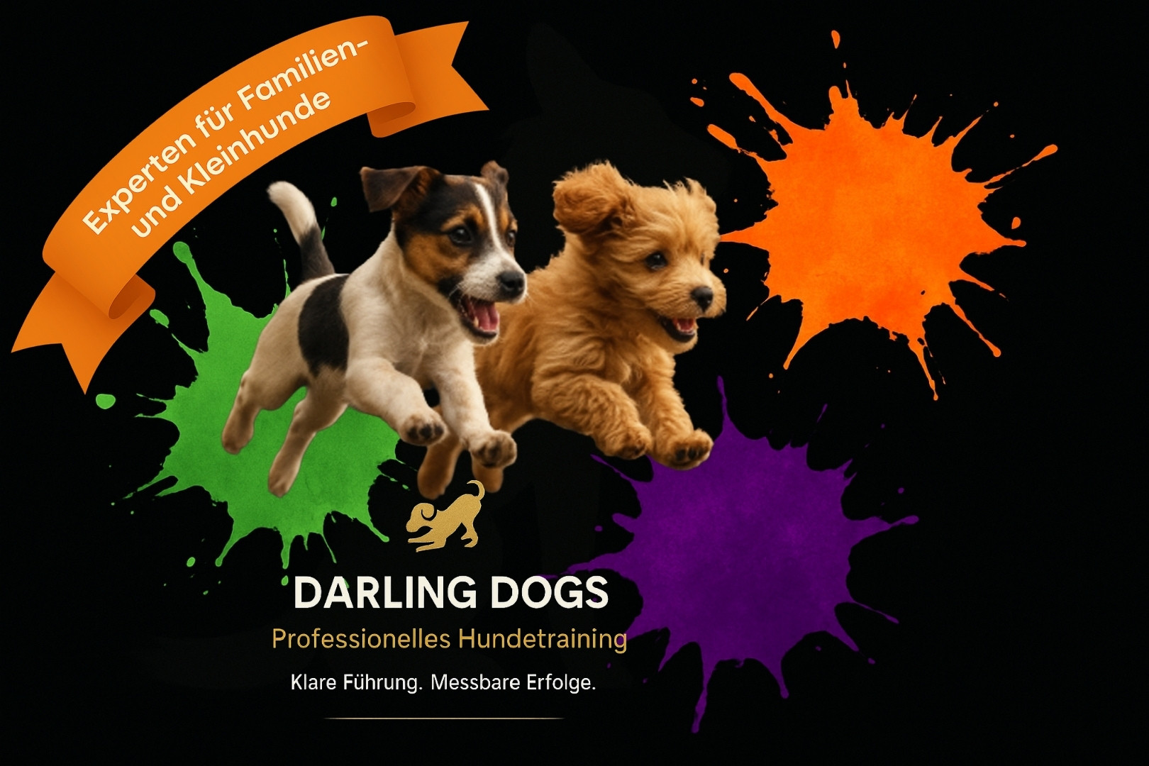 Darling Dogs